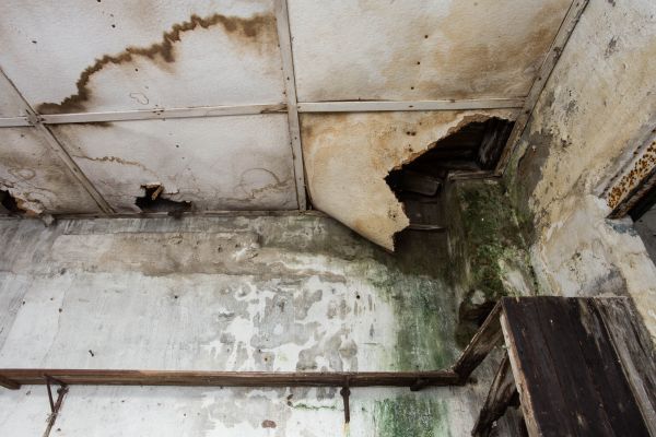 Water Damage Service in Shingle Springs