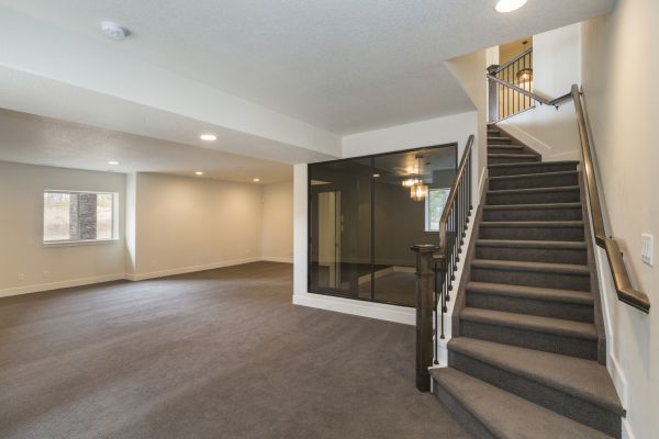 Basement Restoration Service in Shingle Springs