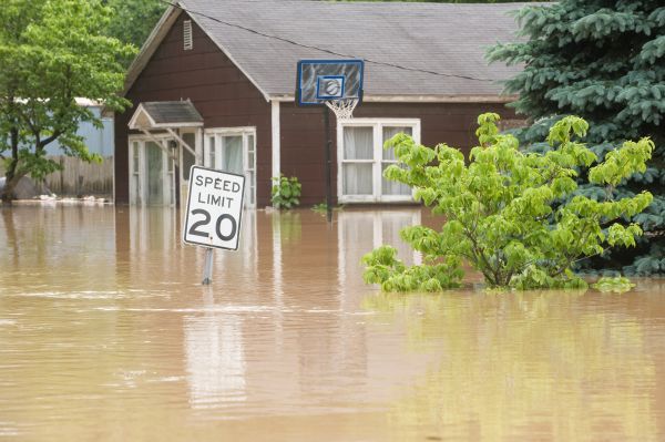 Storm Restoration Service in Shingle Springs