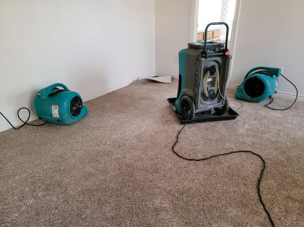 Water Damage Repair in Shingle Springs