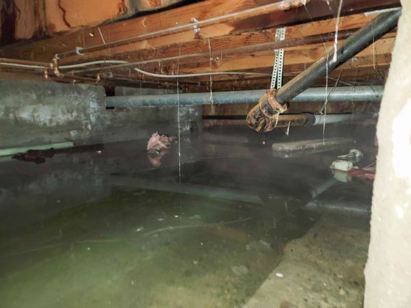 Crawlspace Water Restoration in Shingle Springs